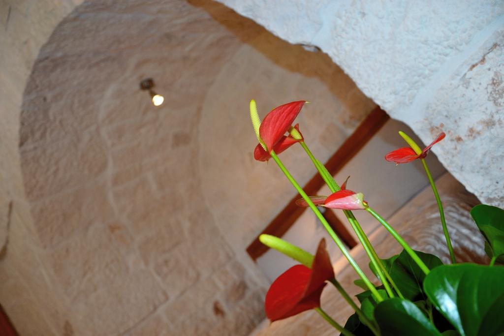 Il Trullo Del Mirto Villa Selva Di Fasano Exterior photo